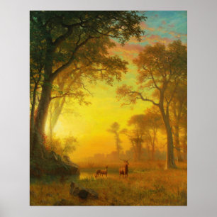 Light in the Forest Poster