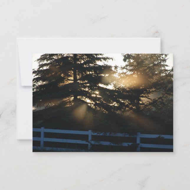 Light in Trees Christian Sympathy cards (Front)