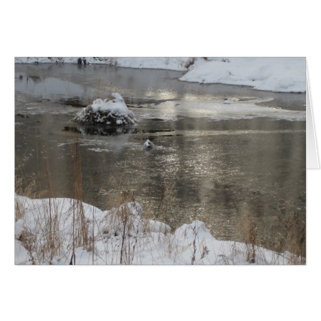 Light Increasing (Front Horizontal)