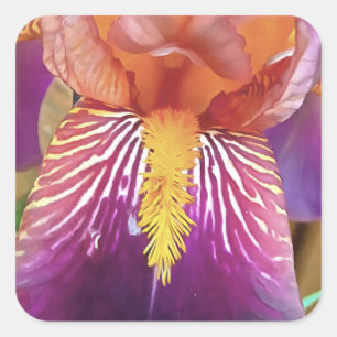 Light Iris Macro Artistic Abstract Square Sticker