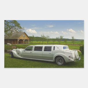 Light limousine in the meadow sticker