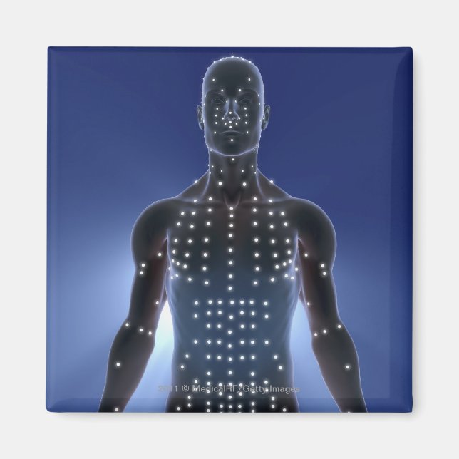 Light map of acupuncture points magnet (Front)