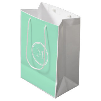 Light Mint Green High End Coloured Matching Medium Gift Bag