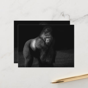 Light on Strength – Silverback Gorilla Postcard