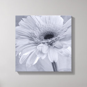 Light Pale Blue Daisy Flower Canvas Print