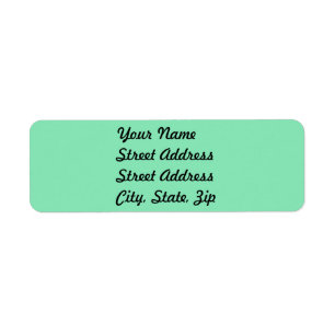 Light Pastel Mint Green Retours Adresse Sticker
