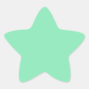 Light Pastel Mint Green Star Sticker