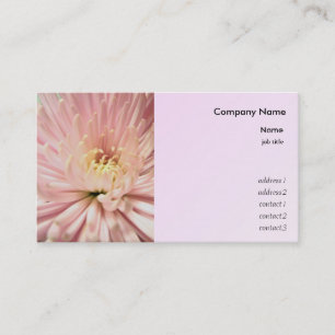 light pink chrysanthemum flower business card