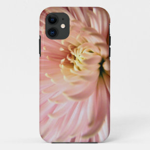 light pink chrysanthemum flower iPhone 11 case