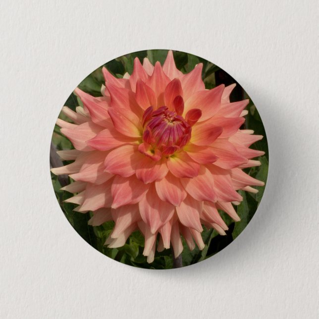 Light Pink Dahlia Petals Motif 2 Inch Round Button (Front)