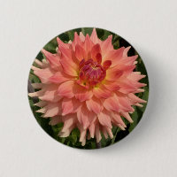 Light Pink Dahlia Petals Motif