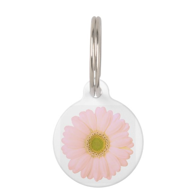 Light Pink Daisy on White Personalized Pet Tag (Front)
