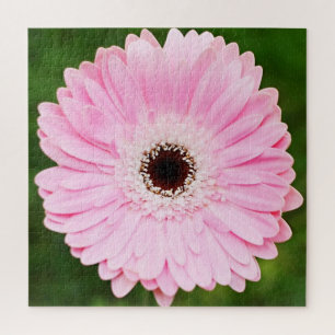 Light Pink Gerbera Daisy Floral Jigsaw Puzzle