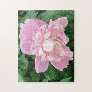 Light Pink Peony Jigsaw Puzzle