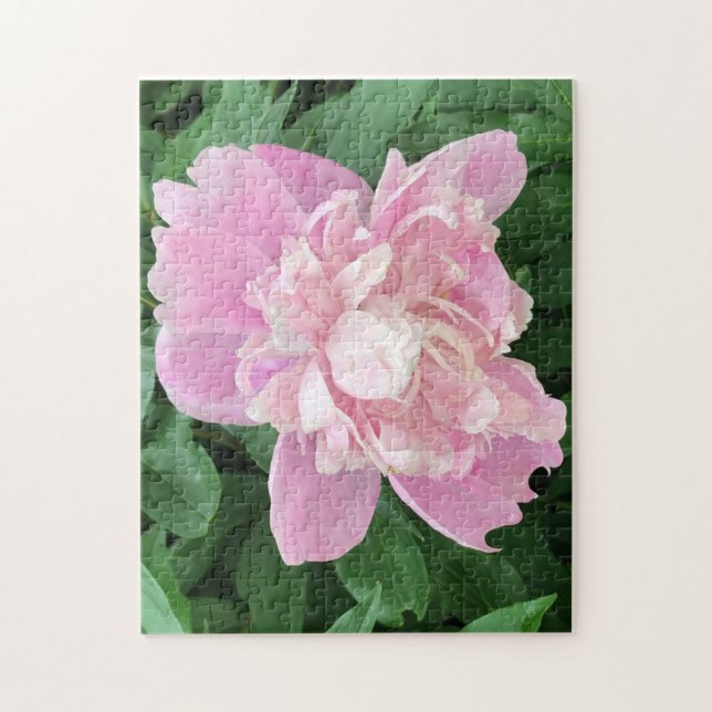 Light Pink Peony Jigsaw Puzzle (Vertical)