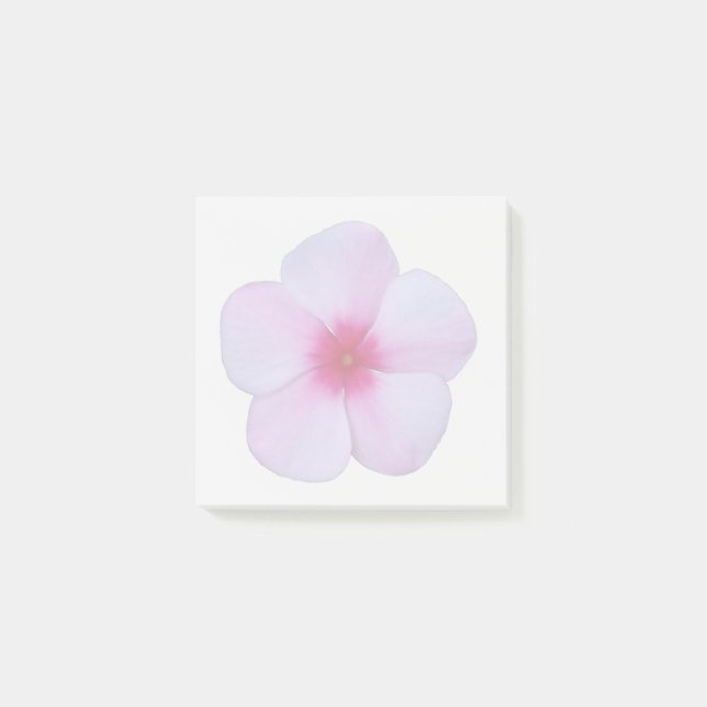 Light Pink Phlox Sticky Notes (Front)