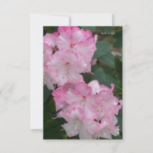 Light Pink Rhododendron Card