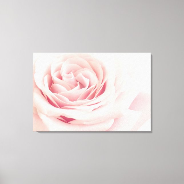 Light Pink Rose Flower - Roses Flowers Floral Canvas Print (Front)
