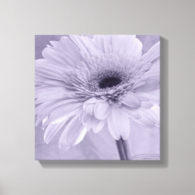 Light Purple Gerber Daisy Canvas Print (Front)