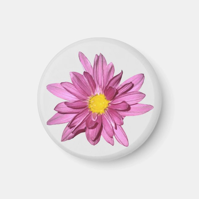 Light Purple Gerbera Magnet (Front)