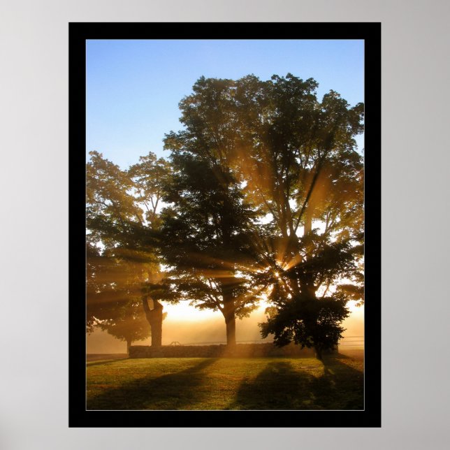 Light Rays 4 Poster (Front)