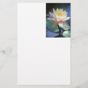 Light Reflection Stationery