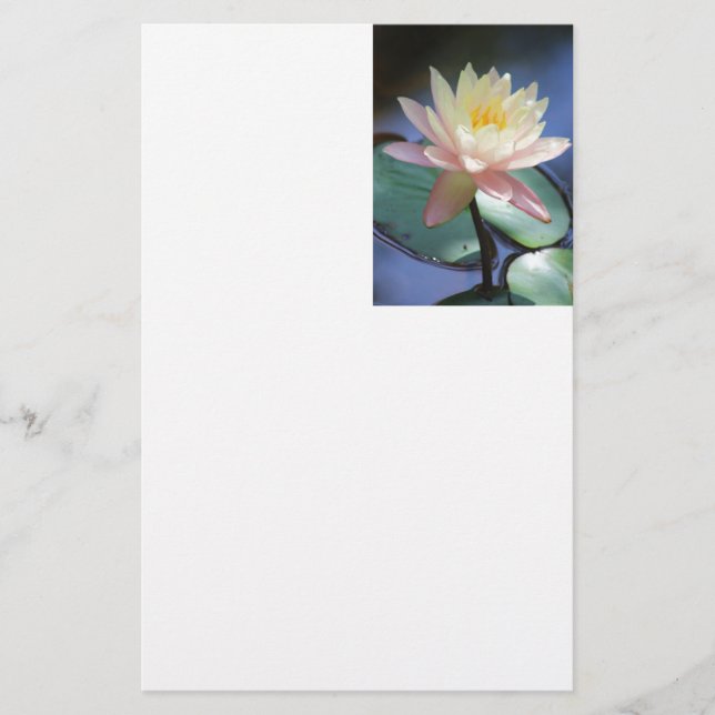 Light Reflection Stationery (Front)