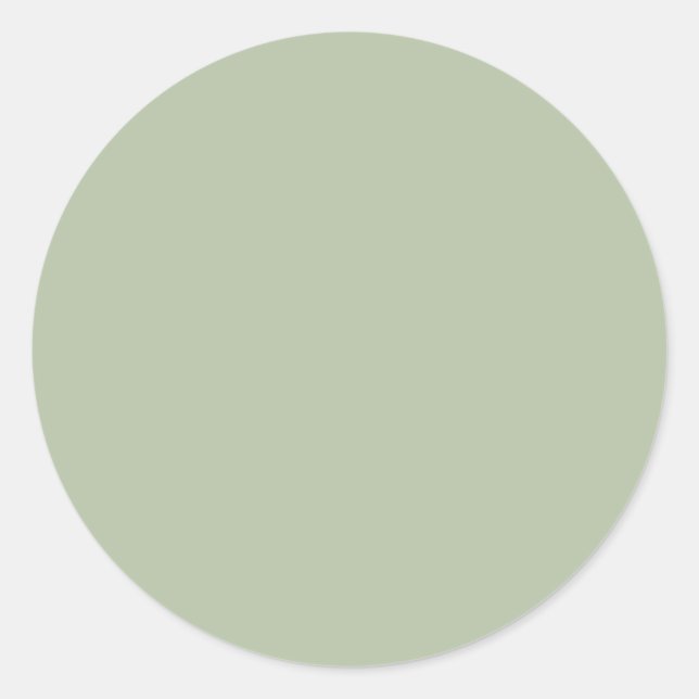 Light Sage Green Solid Colour Classic Round Sticker (Front)
