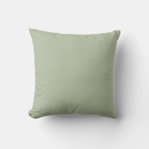 Light Sage Green Solid Colour Throw Pillow
