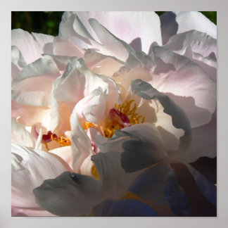 Light & Shadow 2 Poster