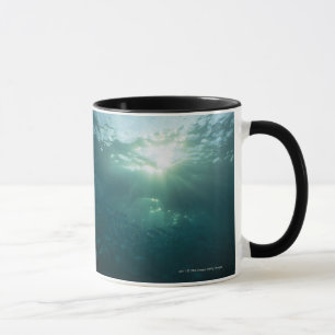 Light shining on coral reef and school of fish mug