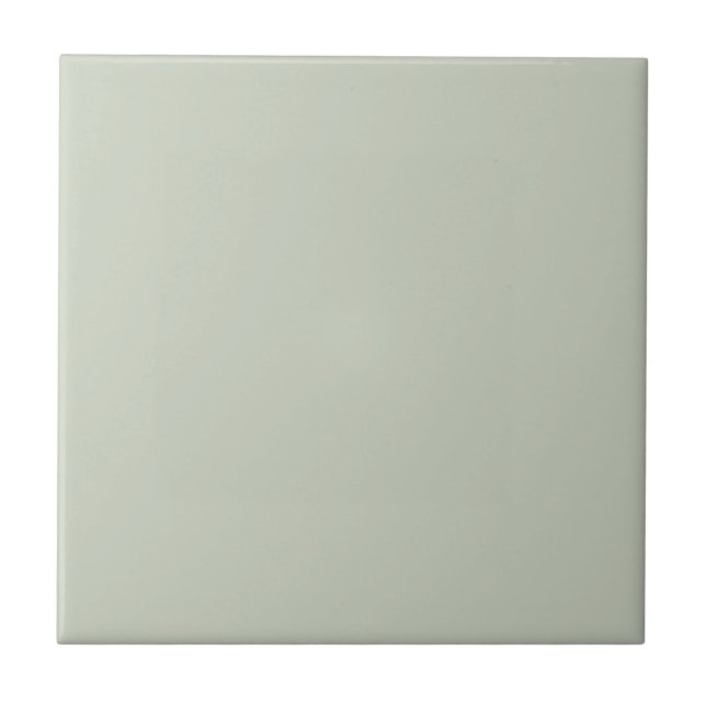 Light Tea Sage Green Color Tile (Front)