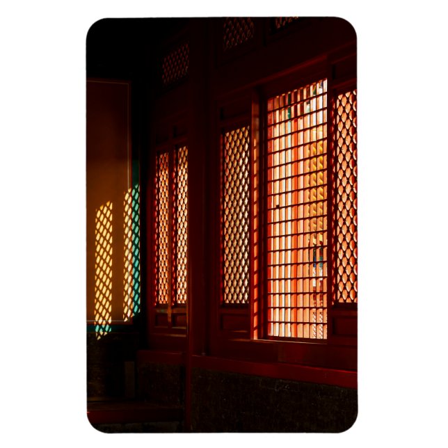 Light Through Mesh Window openings Magnet (Vertical)