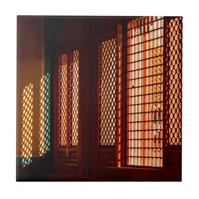 Light Through Mesh Window openings Tile (Front)