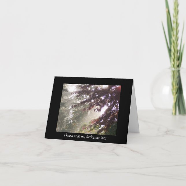 Light through plum tree sympathy card (Front)