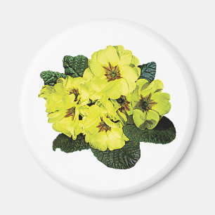 Light Yellow Primroses Magnet