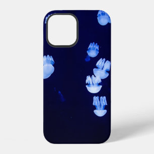 LIGHTED LANTERNS iPhone 12 CASE