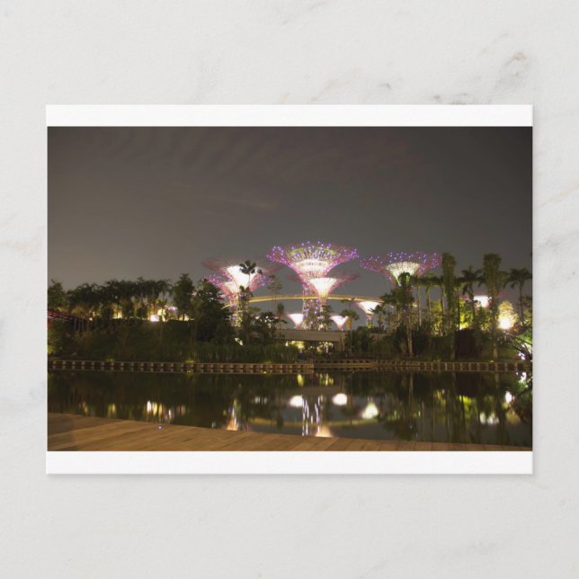 Lighted super trees at Gardens by the Bay Postcard (Front)