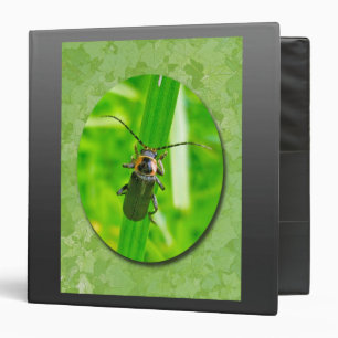 Lightening Bug Binder