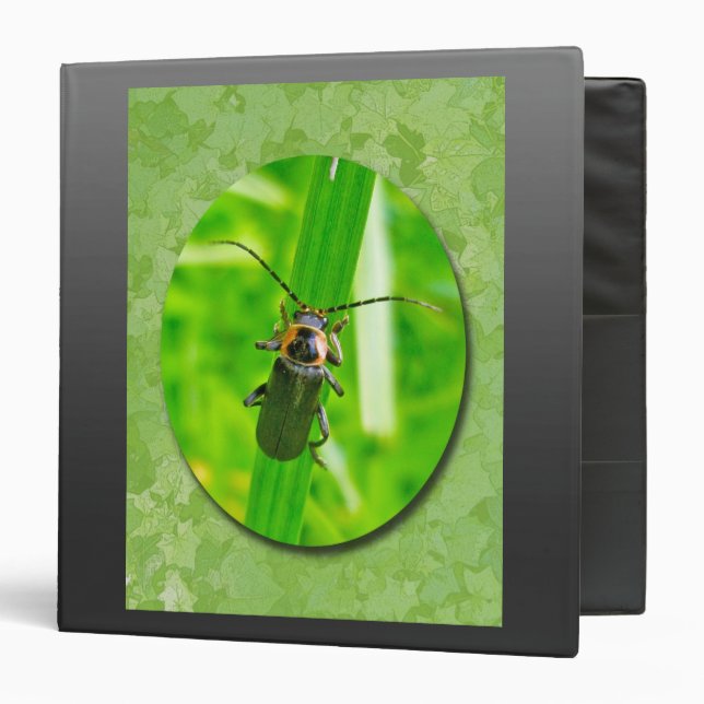 Lightening Bug Binder (Front/Inside)