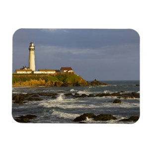 Lighthouse at Pigeon Point State Beach in San 2 Magnet