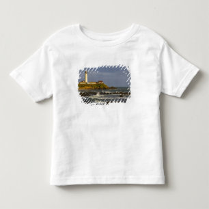 Lighthouse at Pigeon Point State Beach in San 2 Toddler T-shirt