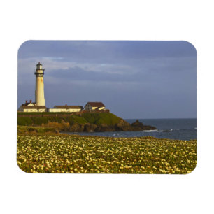 Lighthouse at Pigeon Point State Beach in San Magnet