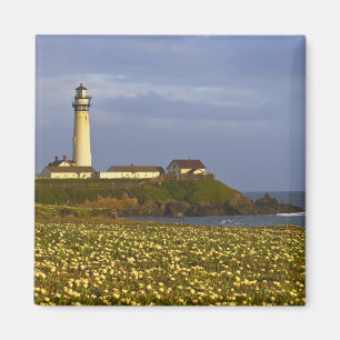 Lighthouse at Pigeon Point State Beach in San Magnet