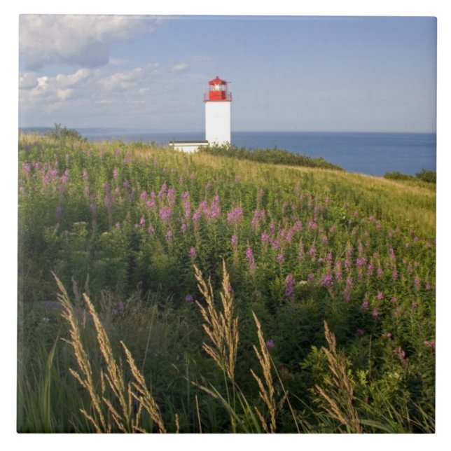 Lighthouse at St. Martins, New Brunswick, 2 Tile (Front)