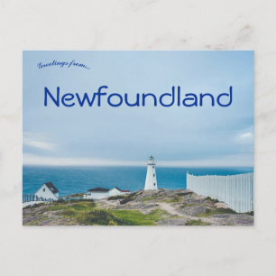 Lighthouse in Newfoundland Canada Postcard