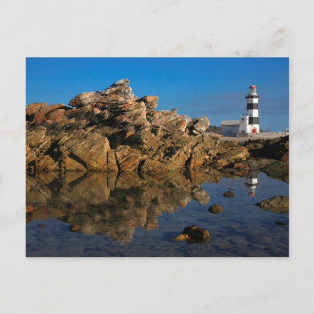 Lighthouse on Cape Recife Postcard (Front)