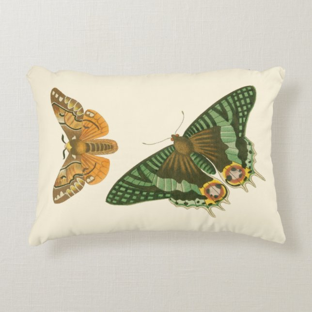 Lightly Bordered Butterfly Painting Decorative Pillow (Front)