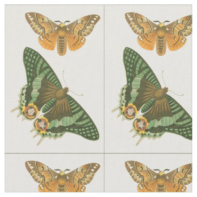 Lightly Bordered Butterfly Painting Fabric (Close Up)