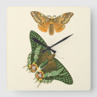 Lightly Bordered Butterfly Painting